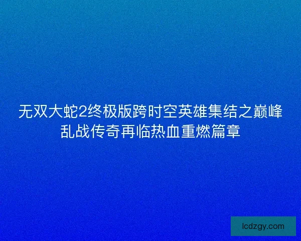 无双大蛇2终极版跨时空英雄集结之巅峰乱战传奇再临热血重燃篇章